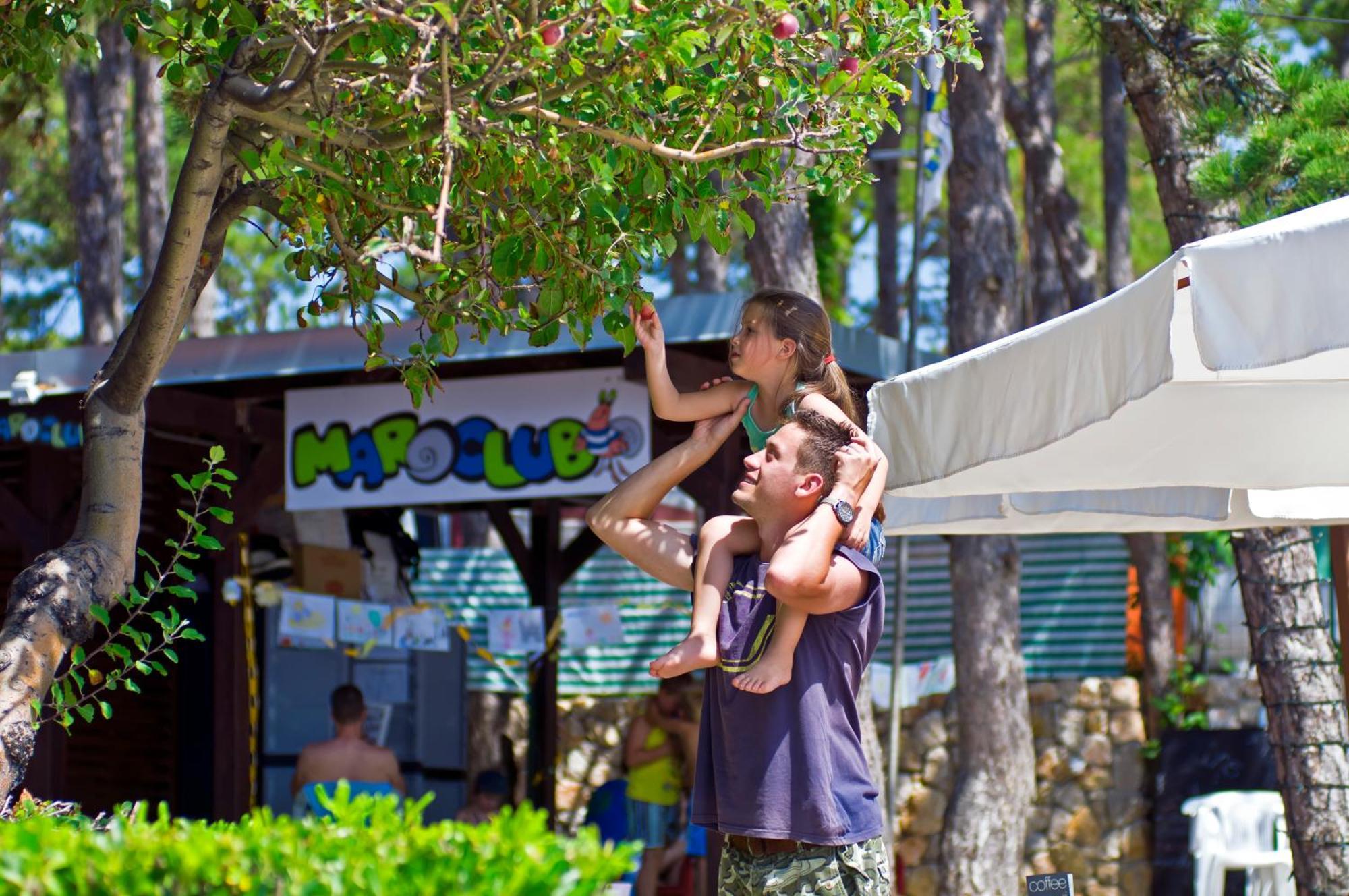 Valamar Camping Jezevac Krk Town Dış mekan fotoğraf